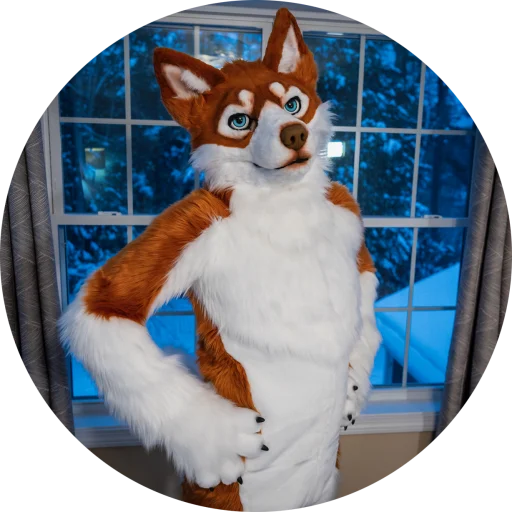 Kota Husky profile photo 2